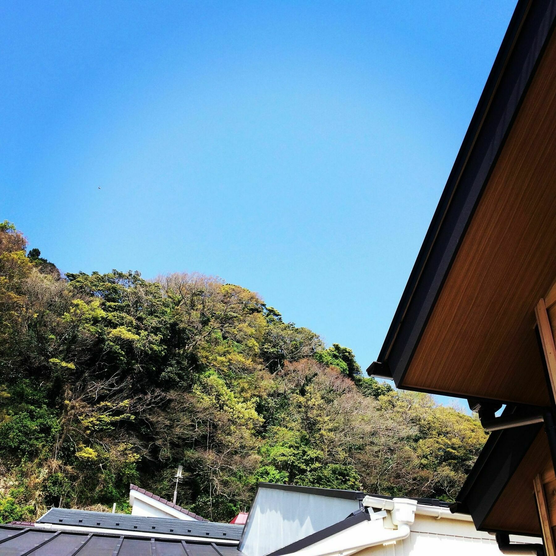 Guest House Kamakura Zen-Ji Екстер'єр фото