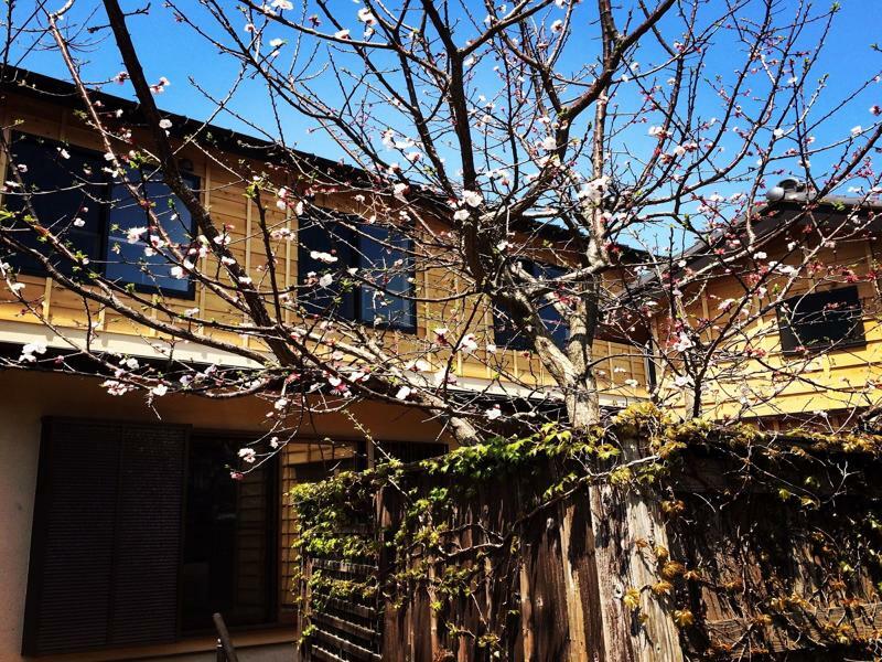 Guest House Kamakura Zen-Ji Екстер'єр фото